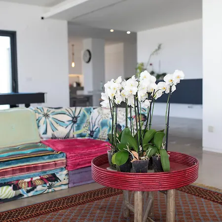 Guest house Bica Vista