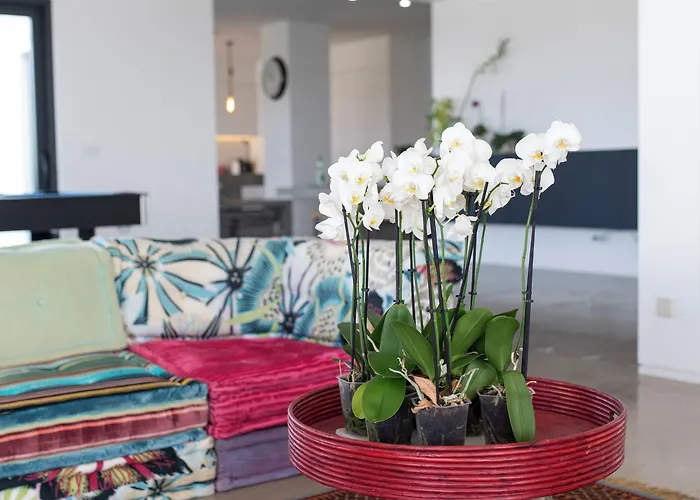 Vendégház Bica Vista